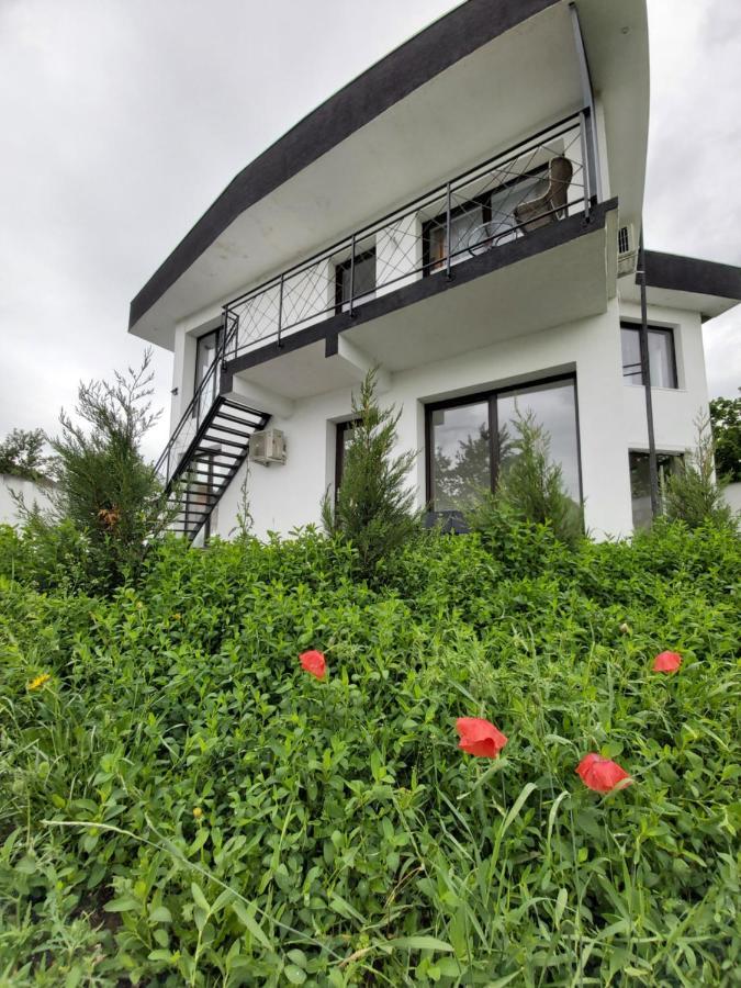 Apartment Accent House