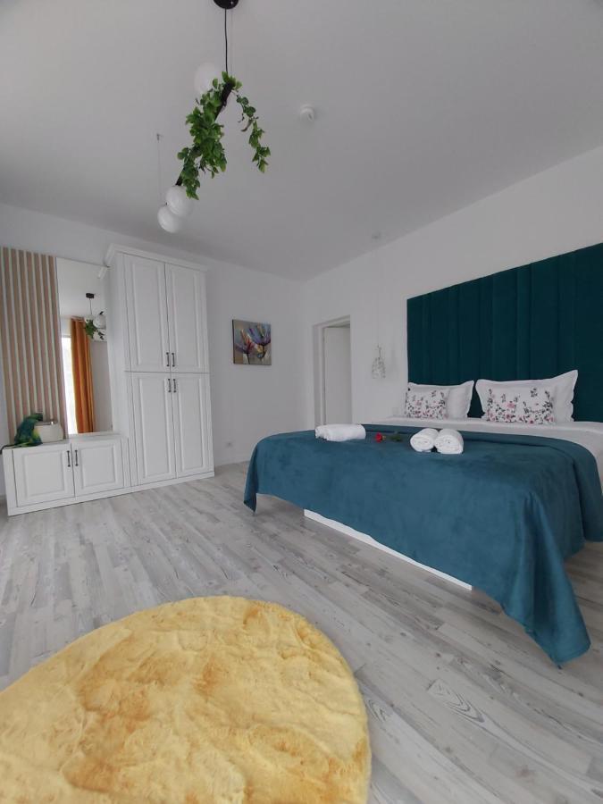 Apartment Accent House